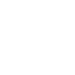 House Key Icon