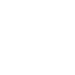 Phone Call Icon
